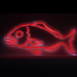 Snapper